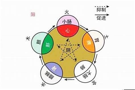 大字五行|大字的五行属性